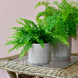 Burgon & Ball Small Provence Grey Glazed Pot Indoor Plant Pot