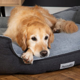 Scruffs Harvard Memory Foam Orthopaedic Box Bed - Graphite Grey
