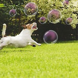 Supersize Bubble Electric Gun