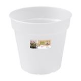 Elho Green Basics Orchid - Transparent 13cm