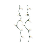 120 Lumineo Indoor LED Vintage String Lights, Warm White, Green Cable