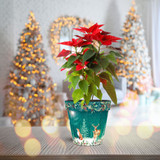 Creekwood Christmas Houseplant Pot 18cm - Green Woodland Scene 18cm