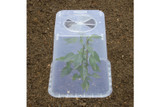 Garland Tom Pot Square Cloche Cover 25cm - Clear