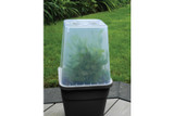 Garland Tom Pot Square Cloche Cover 25cm - Clear