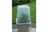 Garland Tom Pot Square Cloche Cover 25cm - Clear