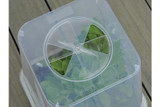 Garland Tom Pot Square Cloche Cover 25cm - Clear