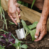 Kent & Stowe Garden Life Hand Trowel