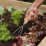 Kent & Stowe Garden Life Hand Cultivator