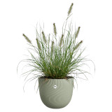 Elho Sereh Round 30cm - Nordic Green