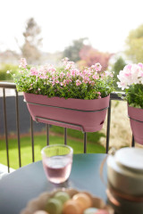 Elho Vibia Campana Trough Allin1 50Cm - Dusty Pink