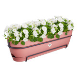 Elho Vibia Campana Trough Allin1 50Cm - Dusty Pink