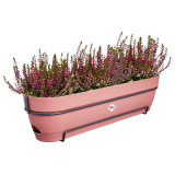Elho Vibia Campana Trough Allin1 50Cm - Dusty Pink