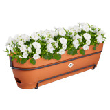 Elho Vibia Campana Trough Allin1 50Cm - Terra