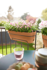 Elho Vibia Campana Trough Allin1 50Cm - Terra