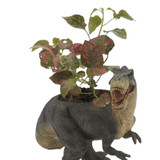 Dinosaur Indoor Plant Pot T-Rex