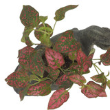 Dinosaur Indoor Plant Pot T-Rex