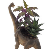 Dinosaur Indoor Plant Pot Brachiosaurus
