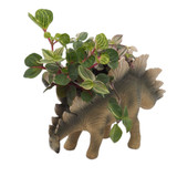 Dinosaur Indoor Plant Pot Stegosaurus