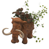 Dinosaur Indoor Plant Pot Wooly Mammoth