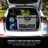 Ninja Frost Vault 50QT/47L Hard Cooler with Dry Zone, Slate Grey