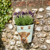 Zest  Wall Pot - Highland Cow