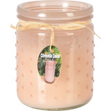 Citronella Wax Candle in Glass Jar with Dots 230g
