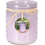 Citronella Wax Candle in Glass Jar with Dots 230g
