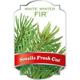 Scentsicles White Winter Fir