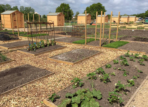 About Bents Garden Centre & Store