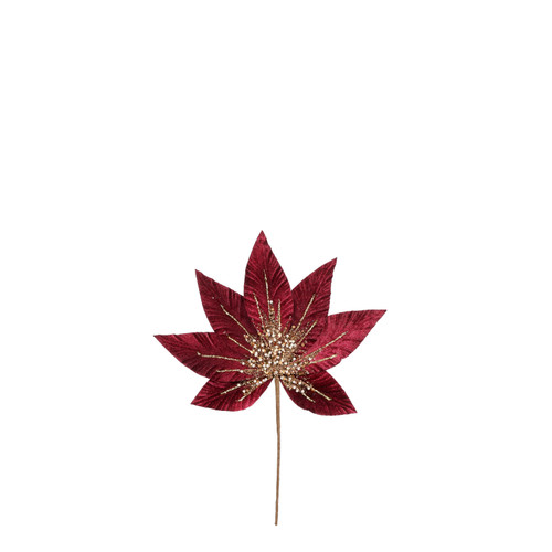 Helleborus - Red - 31 cm x 24 cm x 1 cm