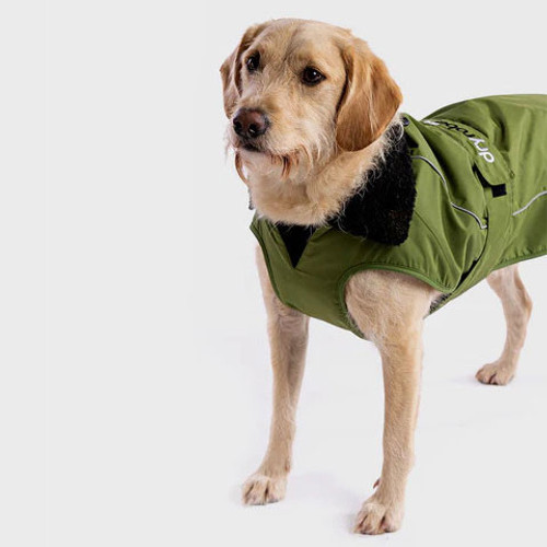 dryrobe® Dog Waterproof Dog Jacket Dark Green/Black