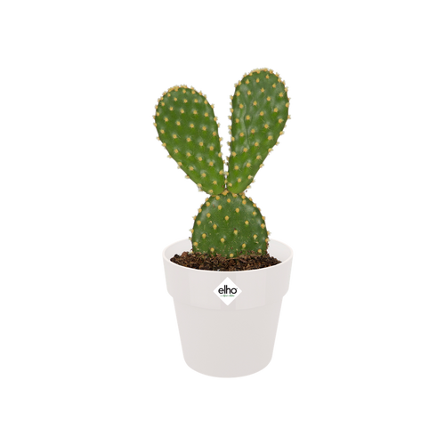 Elho B.For Original Round Mini 7Cm - White