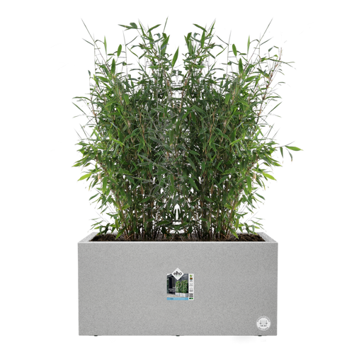 Elho Vivo Next Long - Living Concrete 80cm