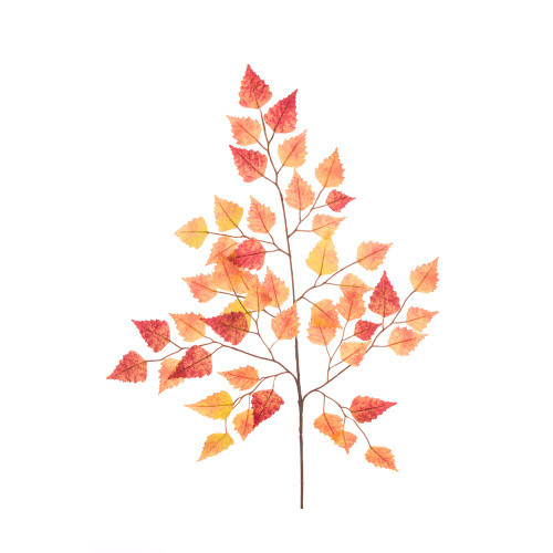 Fall Birch Spray Leaves