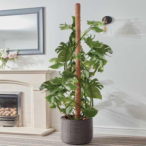 Smart Garden CocoMoss Pole 150cm