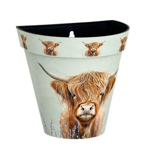 Zest  Wall Pot - Highland Cow