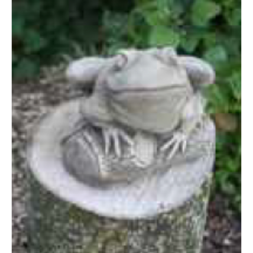 Border Stoneware Frog On Log