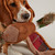 Joules Red Tweed Pheasant Toy