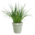 Elho Green Basics Growpot - Stone Green 13cm