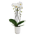 Elho Vibes Fold Orchid High - Silky White 12.5cm