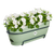Elho Vibia Campana Trough Allin1- Pistachio Green 50cm