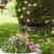 Smart Solar Decor Lights BeeLights 8-Stem