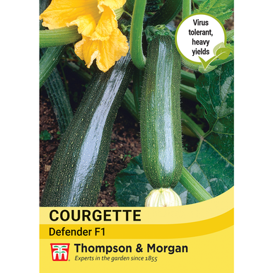 Thompson & Morgan Vegetable Seeds - Courgette Defender F1 Hybrid ...