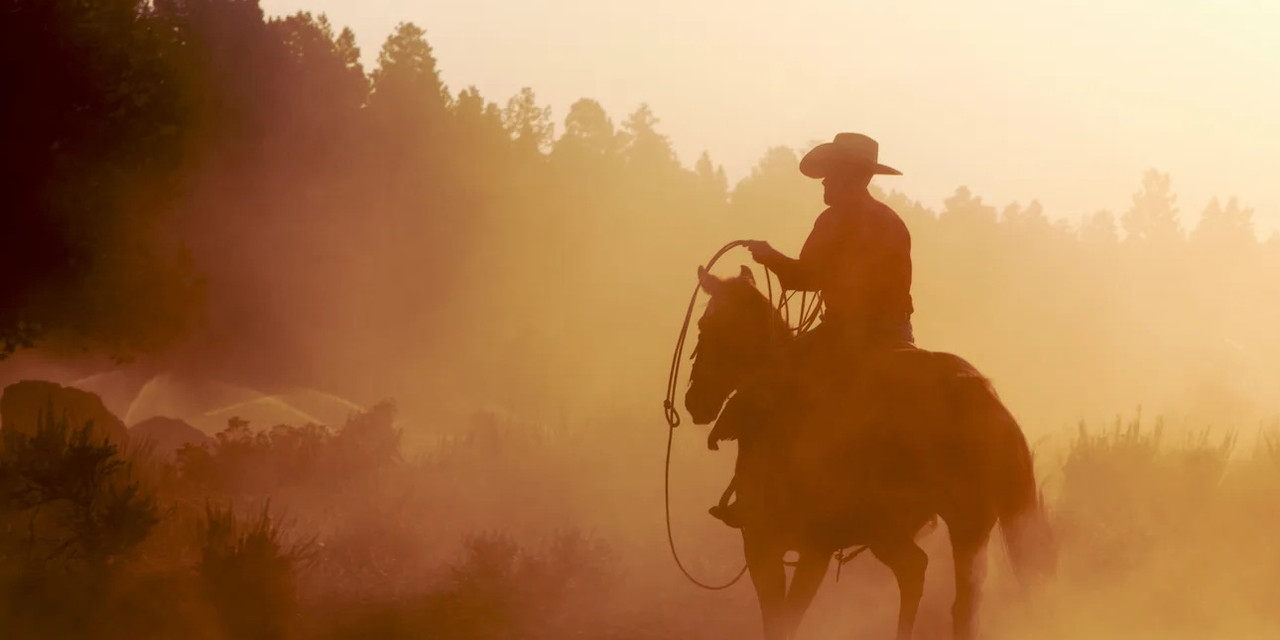 Cowboy on a horse riding in the forest at dawn