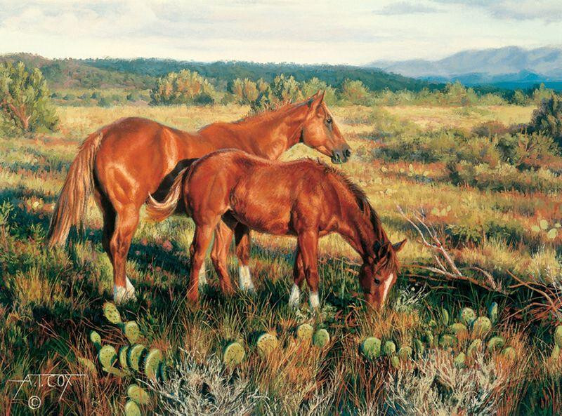Tim Cox Art
