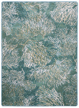 Coastal Canvas Collection
