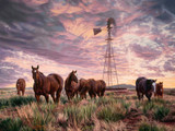 Western Art
