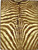American Dakota Senegal Caramel rug with distressed caramel-brown zebra-like stripes on a pale ground