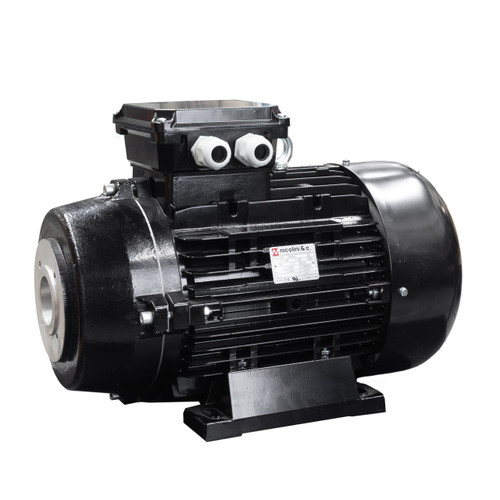 Nicolini Double Flange Electric Motor - 20 hp Three-Phase 600 V
