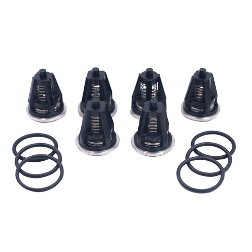 Check Valves + O-rings (Kit #62) for General Pump Series 69